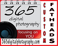 365-digital-photography